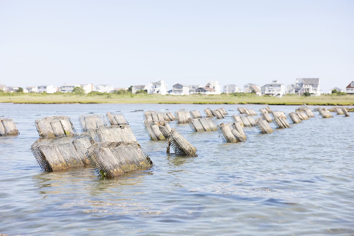 parsonskellogg_the_galilee_project_image2