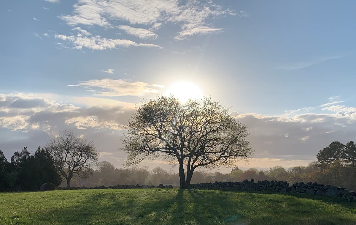 parsonskellogg_westerly_land_trust_image3